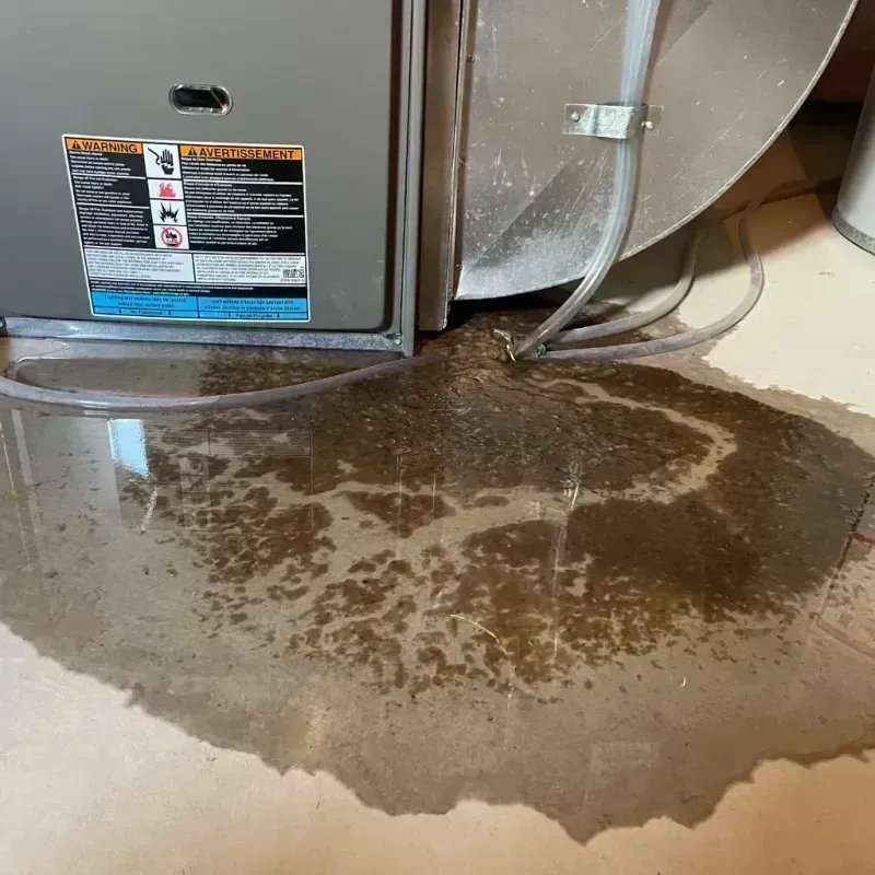 Appliance Leak Cleanup in La Center, KY